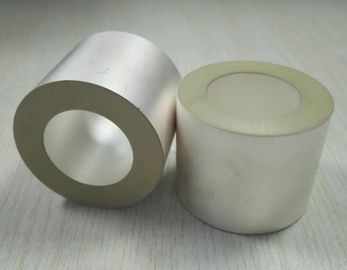 De zilveren Positieve en Negatieve Elektroden van de Kleuren Piezoelectric Ceramische Buis