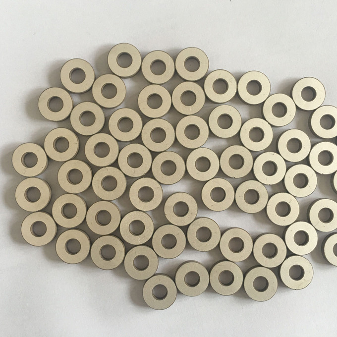 Rond Piezo Ceramisch Element P4/P8 met RoSH-de Certificatie van Ce
